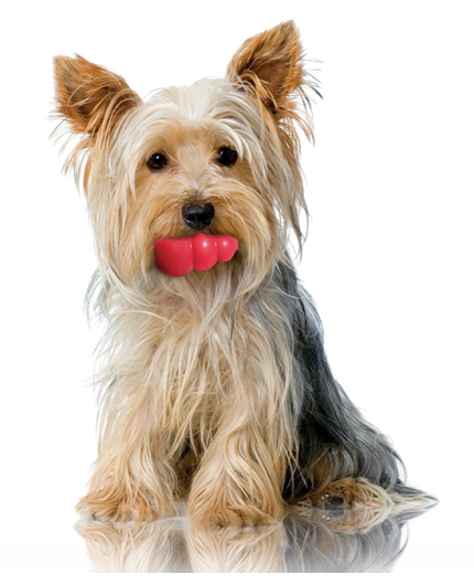 Для дому та професіоналів!